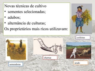 Novas técnicas de cultivo
• sementes selecionadas;
• adubos;
• alternância de culturas;
Os proprietários mais ricos utilizavam:
ceifeiras
charrua
semeadoras
arado
 