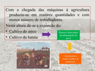 Com a chegada das máquinas à agricultura
produziu-se em maiores quantidades e com
menor número de trabalhadores.
Nesta altura dá-se a expansão do:
• Cultivo do arroz
• Cultivo da batata
Passou a fazer parte
da alimentação do
povo
Começaram a
resistir melhor às
epidemias
 