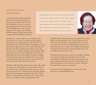 western resources _ar2007