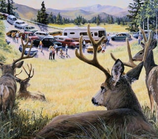 western resources _ar2007