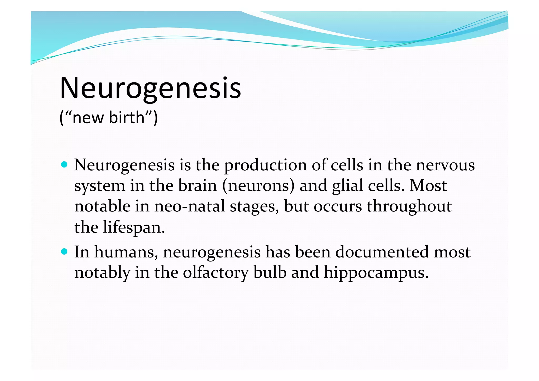 Neurogenesis  
(“new birth”) 
  Neurogenesis is the production of cells in the nervous 
system in the brain (neurons) and glial cells. Most 
notable in neo‐natal stages, but occurs throughout 
the lifespan.  
  In humans, neurogenesis has been documented most 
notably in the olfactory bulb and hippocampus. 
 