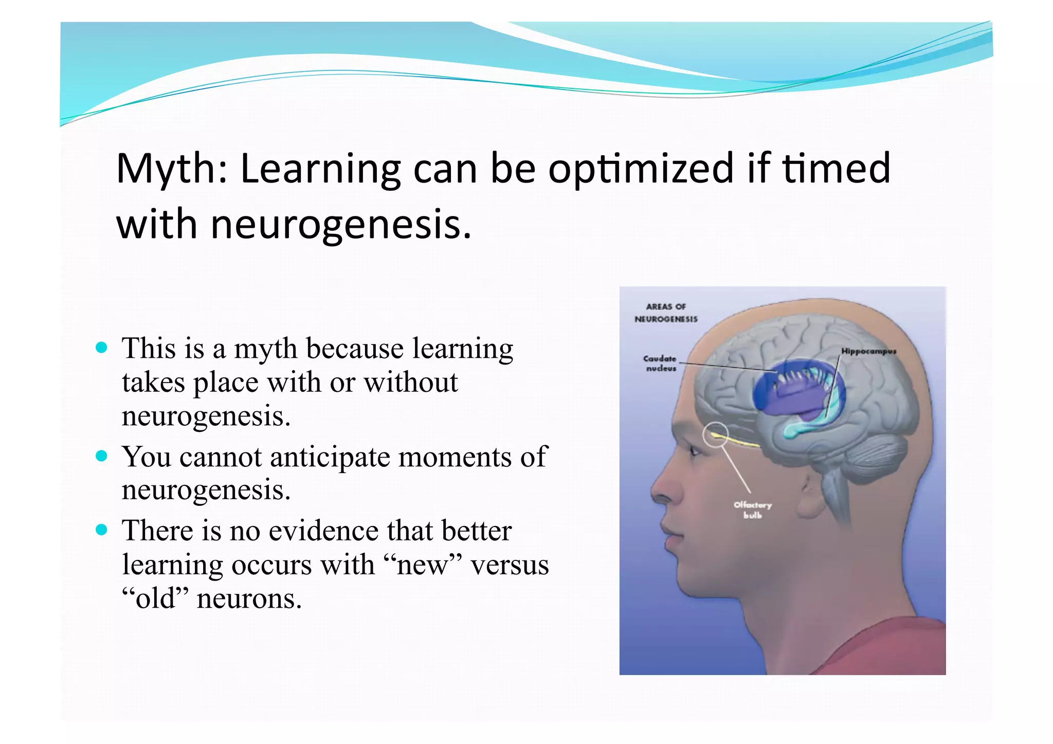 Myth: Learning can be op8mized if 8med 
with neurogenesis. 
  This is a myth because learning
takes place with or without
neurogenesis.
  You cannot anticipate moments of
neurogenesis.
  There is no evidence that better
learning occurs with “new” versus
“old” neurons.
 