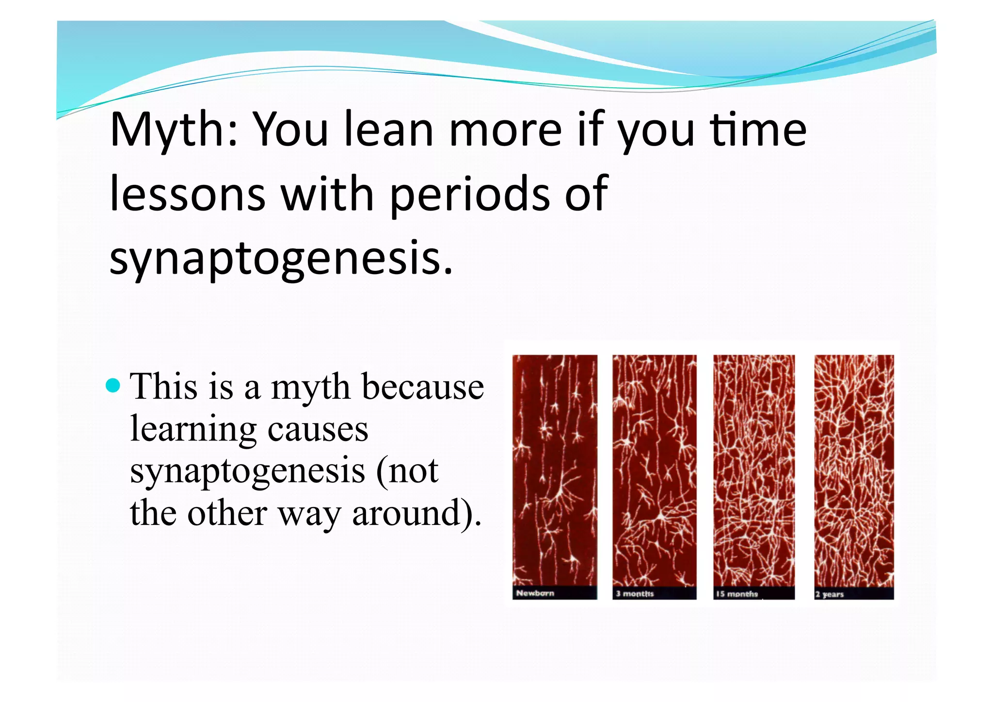Myth: You lean more if you 8me 
lessons with periods of 
synaptogenesis.  
 This is a myth because
learning causes
synaptogenesis (not
the other way around).
 