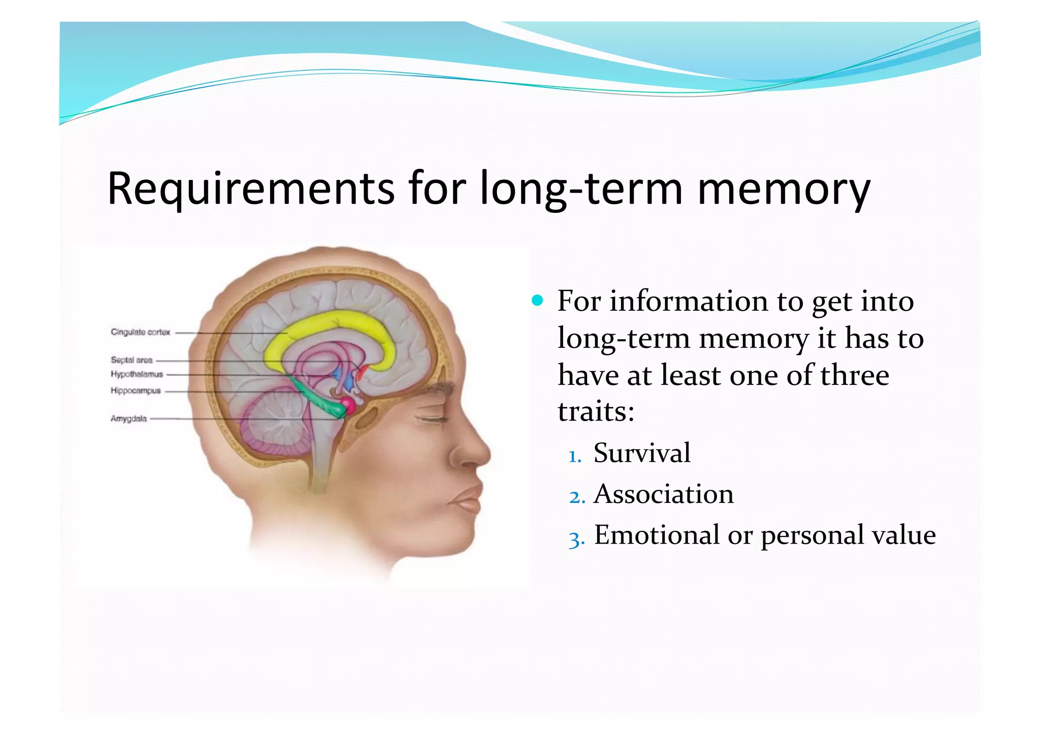 Requirements for long‐term memory 
  For information to get into 
long‐term memory it has to 
have at least one of three 
traits: 
1.  Survival 
2.  Association 
3.  Emotional or personal value 
 