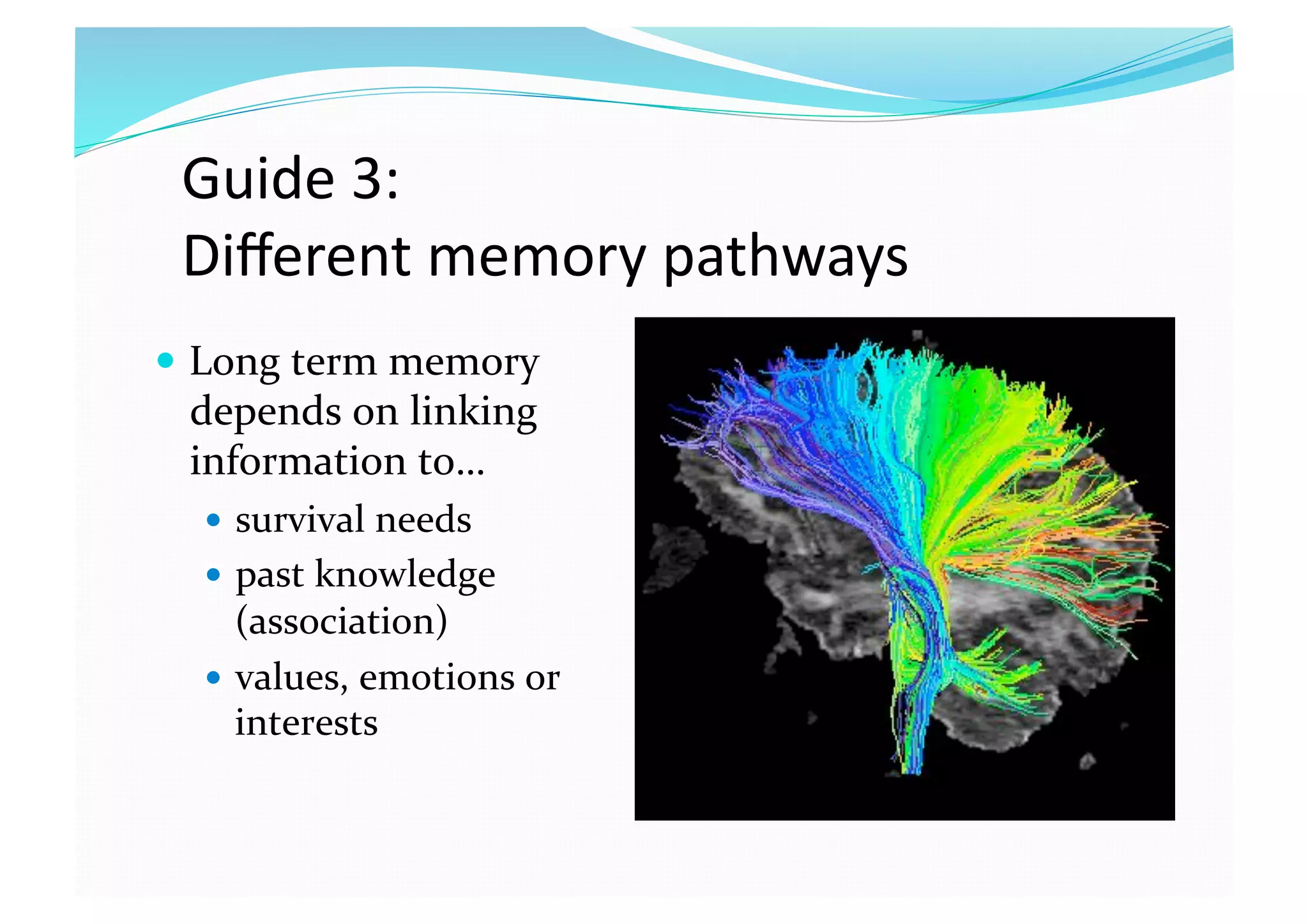 Guide 3:  
Diﬀerent memory pathways 
  Long term memory 
depends on linking 
information to… 
  survival needs 
  past knowledge 
(association) 
  values, emotions or 
interests 
 