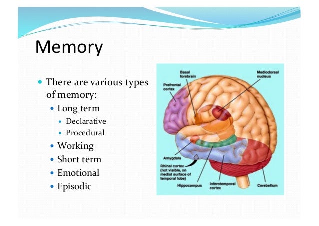 Improve memory retention ability image 1