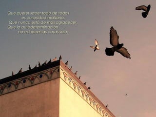 (116) benedetti   cómo hacerte saber [cr]