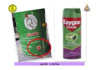 ครูสาลินี มานันไชยครูสาลินี มานันไชย
 