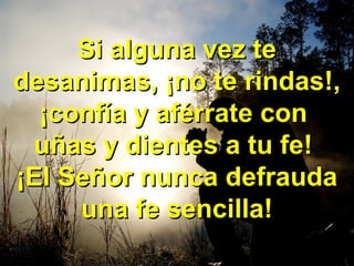 Si alguna vez teSi alguna vez te
desanimas, ¡no te rindas!,desanimas, ¡no te rindas!,
¡confía y aférrate con¡confía y aférrate con
uñas y dientes a tu fe!uñas y dientes a tu fe!
¡El Señor nunca defrauda¡El Señor nunca defrauda
una fe sencilla!una fe sencilla!
 