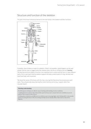 Teaching Science through English – a CLIL approach




Structure and function of the skeleton
This part of the lesson introduces learners to the main bones in the skeleton and their functions.




If possible, show students a model of a skeleton. If that is not available, a good diagram can be used
instead. Ask the class to suggest what their skeleton does. Use this to introduce the term function.
The idea that structure relates to function is an important one in science and will recur in many different
topics. Elicit or pre-teach that the skeleton supports the body, protects parts of it (e.g. the brain and
heart) and helps with movement.

Talk about the names of the bones with the class, ensuring that they know how to pronounce each
name. They will generally enjoy learning the correct technical terms (e.g. ‘scapula’ rather than
‘shoulder blade’).


 Checking understanding
 The following two techniques are effective ways of checking understanding of science vocabulary:
 1) Asking learners to ‘point to’ their ribs provides a quick and easy way to concept check some vocabulary as you can
 easily see who is unsure of what ribs are.
 2) Asking about similarities and differences is an effective way to encourage higher order thinking skills. It also provides
 practice in naming the bones in the arms and legs and helps learners develop skills of observation as they look at
 diagrams.




                                                                                                                                       19
 