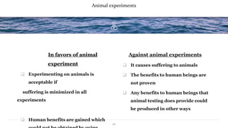 Animal Experiments, Business Ethics Course