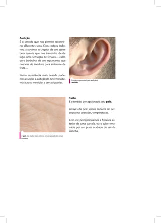 Tacto
É o sentido percepcionado pela pele.
Através da pele somos capazes de per-
cepcionar pressões, temperaturas.
Com ele percepcionamos a frescura ex-
terior de uma garrafa, ou o calor ema-
nado por um prato acabado de sair da
cozinha.
Audição
É o sentido que nos permite reconhe-
cer diferentes sons. Com certeza todos
nós já ouvimos o crepitar de um azeite
bem quente que nos transmite, desde
logo, uma sensação de fervura… calor,
ou o borbulhar de um espumante, que
nos leva de imediato para ambiente de
festa…
Numa experiência mais ousada pode-
mos associar a audição de determinadas
músicas ou melodias a certas iguarias.
A pele é o órgão mais extenso e mais pesado do corpo
humano
O órgão responsável pela audição é
o ouvido
 