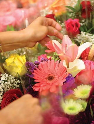 winn-dixie stores  52823WinnDixieARFull