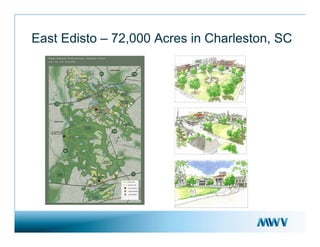  meadwestvaco 05/08Goldman_Presentation