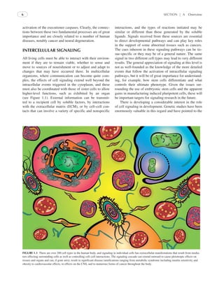 Intercellular Signaling In Development And Disease Cell Signaling ...