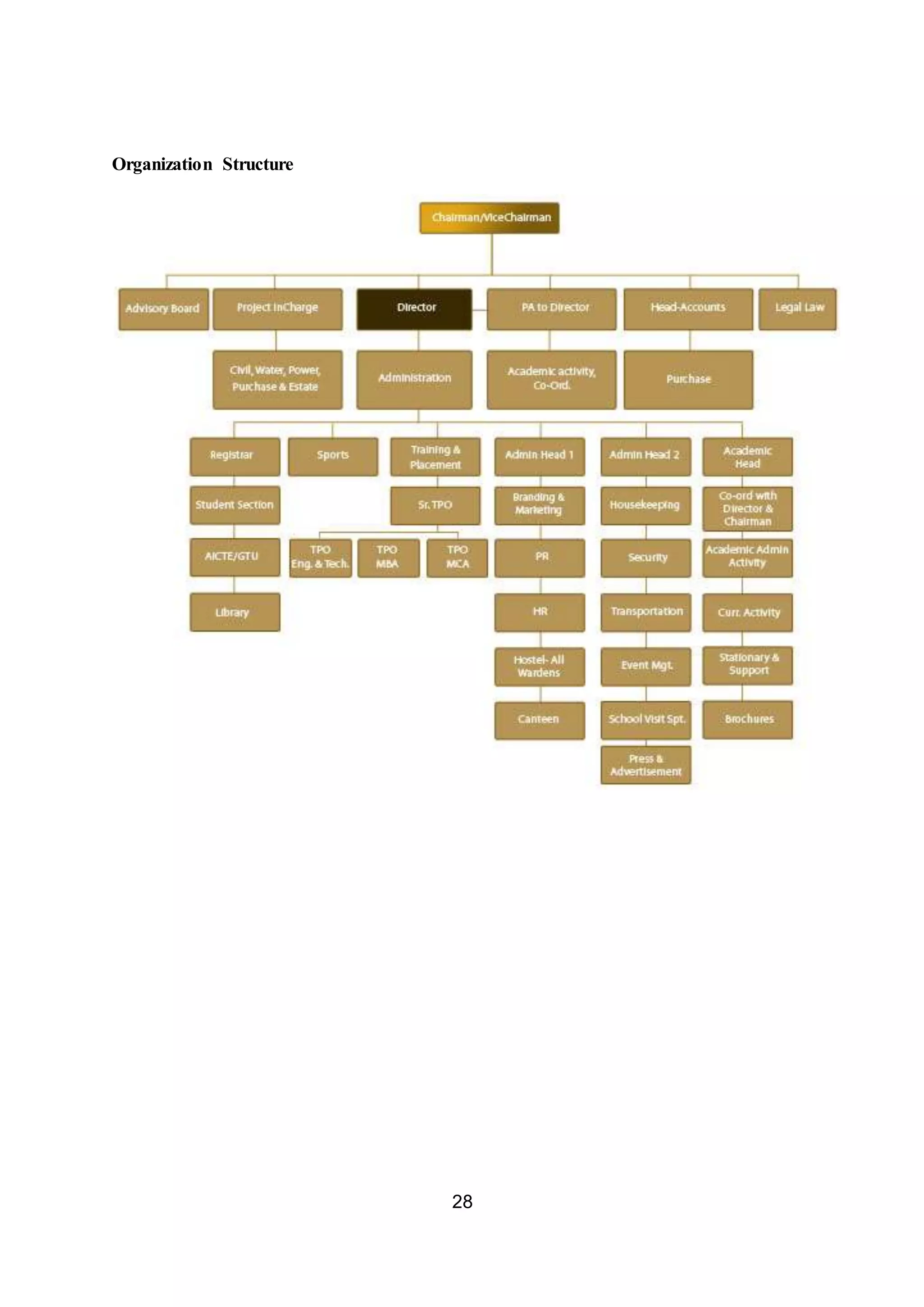 28
Organization Structure
 