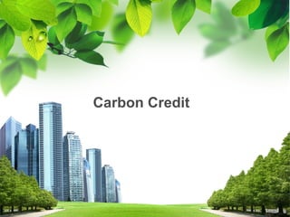Carbon Credit




                1
 
