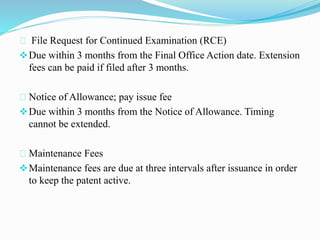 Presentation on the Patent Process in US | PPTX