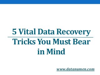 www.datanumen.com
5 Vital Data Recovery
Tricks You Must Bear
in Mind
 