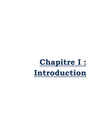 Chapitre I :
Introduction
 