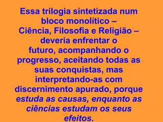 campeonato da insensatez