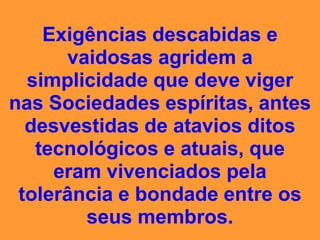 campeonato da insensatez