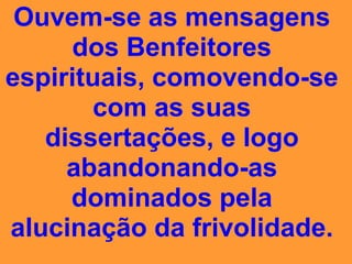 campeonato da insensatez