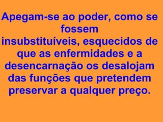 campeonato da insensatez