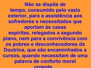 campeonato da insensatez