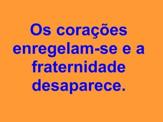 campeonato da insensatez