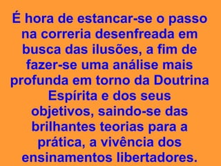 campeonato da insensatez