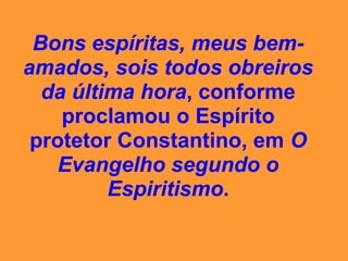 campeonato da insensatez