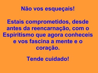 campeonato da insensatez