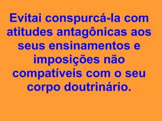 campeonato da insensatez