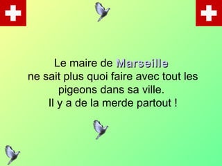 Le maire de  Marseille  ne sait plus quoi faire avec tout les pigeons dans sa ville.  Il y a de la merde partout ! 