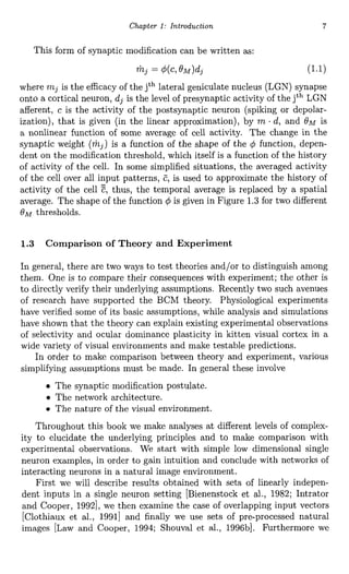 Theory Of Cortical Plasticity Leon N Cooper Nathan Intrator | PDF