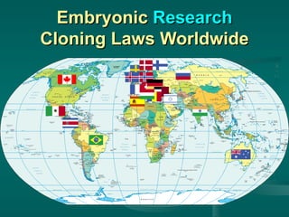Embryonic  Research Cloning Laws Worldwide 