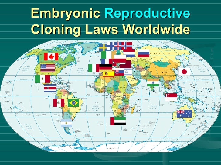 Stem cell ethics 06