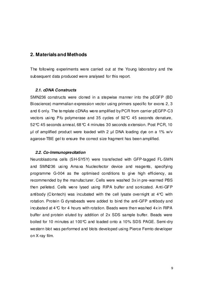 Analytical essay: Dissertation on interactive materials