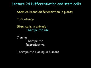 Lecture 24 Differentiation and stem cells Stem cells and differentiation in plants Totipotency Stem cells in animals Therapeutic use Cloning Therapeutic Reproductive Therapeutic cloning in humans 