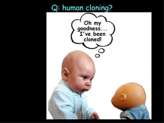 Q: human cloning? 