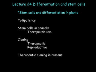 Lecture 24 Differentiation and stem cells *Stem cells and differentiation in plants Totipotency Stem cells in animals Therapeutic use Cloning Therapeutic Reproductive Therapeutic cloning in humans 