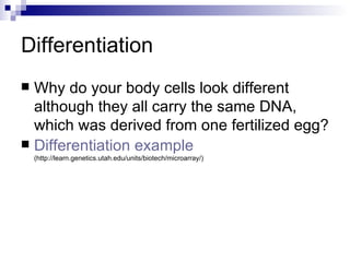 Differentiation Why do your body cells look different although they all carry the same DNA, which was derived from one fertilized egg? Differentiation  example  (http://learn.genetics.utah.edu/units/biotech/microarray/) 