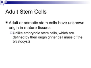 Adult Stem Cells Adult or somatic stem cells have unknown origin in mature tissues Unlike embryonic stem cells, which are defined by their origin (inner cell mass of the blastocyst) 