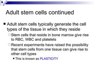 Adult stem cells continued Adult stem cells typically generate the cell types of the tissue in which they reside Stem cells that reside in bone marrow give rise to RBC, WBC and platelets Recent experiments have raised the possibility that stem cells from one tissue can give rise to other cell types This is known as  PLASTICITY 