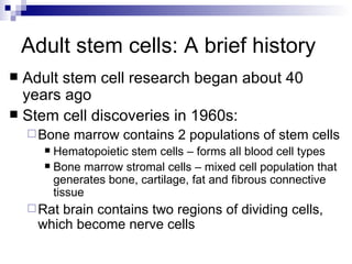Adult stem cells: A brief history Adult stem cell research began about 40 years ago Stem cell discoveries in 1960s: Bone marrow contains 2 populations of stem cells Hematopoietic stem cells – forms all blood cell types Bone marrow stromal cells – mixed cell population that generates bone, cartilage, fat and fibrous connective tissue Rat brain contains two regions of dividing cells, which become nerve cells 