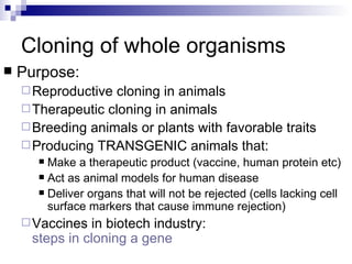 Cloning of whole organisms Purpose: Reproductive cloning in animals Therapeutic cloning in animals Breeding animals or plants with favorable traits Producing TRANSGENIC animals that: Make a therapeutic product (vaccine, human protein etc) Act as animal models for human disease Deliver organs that will not be rejected (cells lacking cell surface markers that cause immune rejection) Vaccines in biotech industry:  steps in cloning a gene 