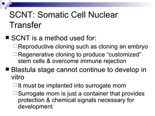 SCNT: Somatic Cell Nuclear Transfer SCNT is a method used for: Reproductive cloning such as cloning an embryo Regenerative cloning to produce “customized” stem cells & overcome immune rejection Blastula stage cannot continue to develop in vitro It must be implanted into surrogate mom Surrogate mom is just a container that provides protection & chemical signals necessary for development 
