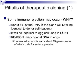 Pitfalls of therapeutic cloning (1)   Some immune rejection may occur- WHY? About 1% of the DNA in the clone will NOT be identical to donor cell (patient) It will be identical to egg cell used in SCNT REASON: mitochonrial DNA in eggs Human mitochondria carry about 13 genes, some of which code for surface proteins 