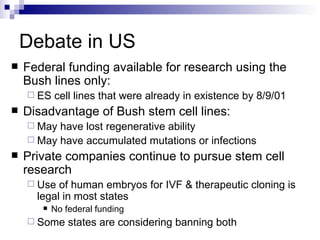 Debate in US Federal funding available for research using the  Bush lines only: ES cell lines that were already in existence by 8/9/01 Disadvantage of Bush stem cell lines: May have lost regenerative ability May have accumulated mutations or infections Private companies continue to pursue stem cell research Use of human embryos for IVF & therapeutic cloning is legal in most states No federal funding Some states are considering banning both 